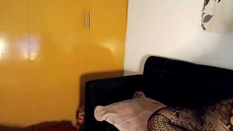 Media: Video of a modern, minimalist bedroom with a black couch, yellow wardrobe, beige blanket, and abstract art on the wall.