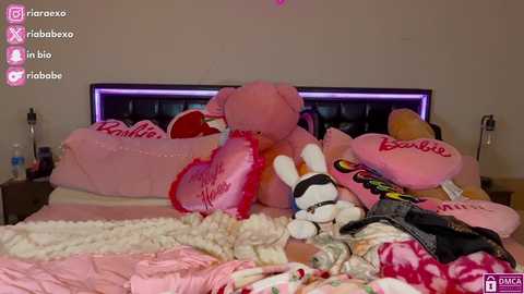 Media: A video of a cluttered, pink-themed bedroom with a plush bed, stuffed toys, and scattered clothes. The room has a soft, intimate atmosphere.