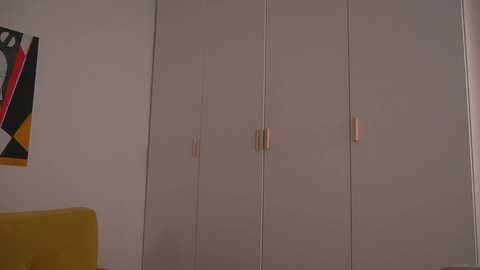 Media: Video of a minimalist, modern closet with three doors, each with a simple, vertical handle. The background features a white wall adorned with a colorful abstract painting, and a yellow couch partially visible on the left.