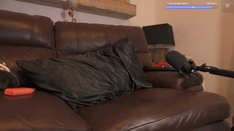 Media: Video of a dark brown leather sofa with a rumpled black blanket, a red iPhone, and a black microphone on a wooden side table, set in a cozy, warmly lit living room.