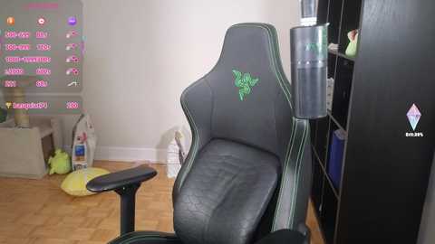 Media: Video of a modern gaming chair with a green logo, situated in a cluttered room with a cat bed, toys, and a whiteboard with chat messages.