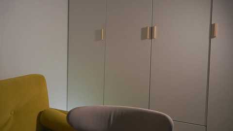 Media: Video of a minimalist living room featuring a mustard-yellow armchair and a grey upholstered chair in front of a sleek, modern, white wardrobe with simple, golden handles. The background is a plain, light-colored wall.