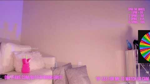 Media: Video of a modern, minimalist living room with a white couch, a pink water bottle, and a colorful rainbow wheel.
