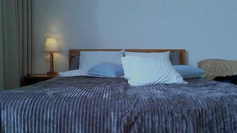 Media: Video of a neatly made bed with a striped gray blanket, two white pillows, and a beige throw pillow, against a plain white wall. Wooden nightstand with lamp on left.