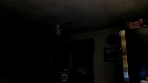 Media: A dimly lit video of a cluttered, dark room with a ceiling fan, a TV, and various objects, including a framed picture and a box.