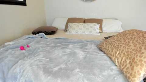 Media: A video of a cozy, neatly made bed with a gray and white patterned blanket, brown pillows, a leopard-print pillow, a pink vibrator on the blanket, and a dark brown throw pillow.