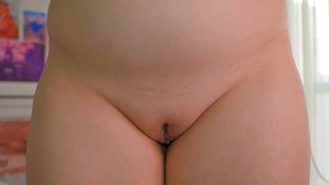 Media: A video showing a close-up view of a nude woman's lower torso and genitals, with pale skin, a flat stomach, and visible pubic hair. Background features a blurred, colorful abstract painting.