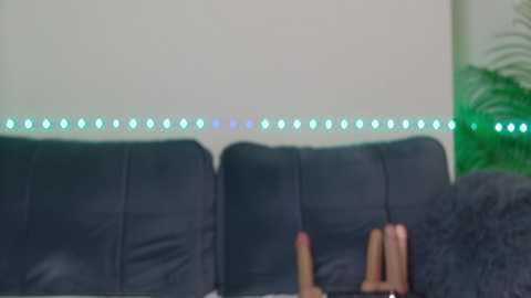 Media: Video of a cozy living room with a dark gray sofa, a green potted plant, and a string of green fairy lights along the wall.