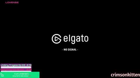 crimsonkitten free recording from 2025-03-13 05:38:00