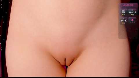 Media: A close-up video of a light-skinned woman's shaved vulva, set against a dimly lit background with a virtual reality interface on the right.