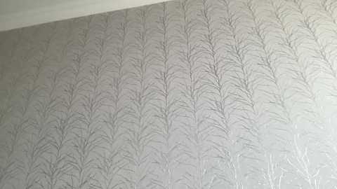 Media: Video of a textured, light grey wallpaper with a delicate, leaf-like pattern, resembling a forest of bare branches. The pattern is evenly spaced and repeats throughout the image. The background is a plain, light grey wall, with a small portion of a white ceiling visible at the top.