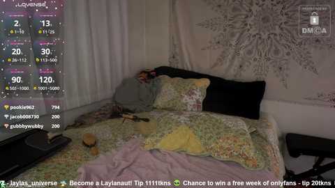Media: Video of a messy bedroom with a cluttered bed, a TV screen displaying a live stream, and a large, intricate white wall hanging.
