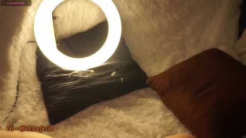 Media: Video of a large white dog's head with a glowing ring light on its nose, lying on a dark, textured surface.