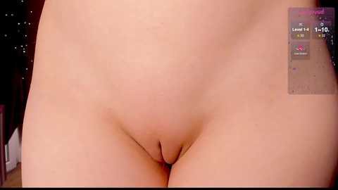 Media: Video of a close-up view of a light-skinned person's vulva, featuring visible labia and a hint of pubic hair. The background is blurred with a hint of dark, indistinct objects.