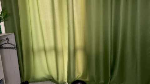 Media: Video of a room with green curtains partially drawn, revealing a window with soft light streaming in. A white shelf with a black trash can and a potted plant is visible on the left.