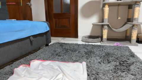 Video of a cozy bedroom with a blue bedspread, gray shag rug, and a wooden door. A gray cat tower with scratching posts is visible, along with a pink toy on the floor.
