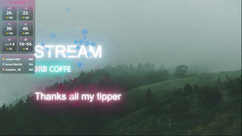Media: Video of a foggy, misty landscape with a stream of glowing text reading \"STREAM\" and \"THANKS ALL MY TIPPER.\" The text is surrounded by blue and pink digital overlays.