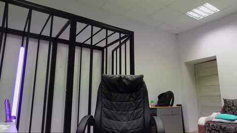 Media: Video of a sparsely furnished, minimalistic office with a black leather chair, a white desk, and a metal grid partition. A fluorescent light fixture and a purple dildo are visible.