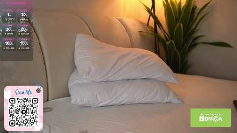 Video of a cozy, dimly lit bedroom with a bed made up in crisp white linens, featuring a tall, leafy potted plant beside it.