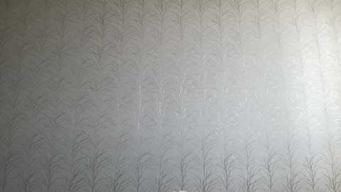Media: Video of a textured wallpaper featuring an intricate, repetitive pattern of thin, leafless tree branches in a muted, silver-grey tone. The wallpaper is evenly spread across the entire frame, with no objects or people present.