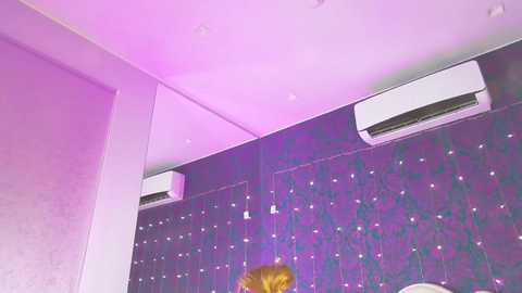 Media: Video of a modern room with a purple wall, white ceiling, and two air conditioning units. The room has a contemporary design, with a mix of textures and colors.