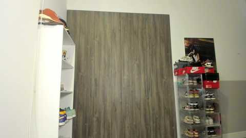 A video of a modern, minimalist closet with light wood sliding doors, shelves holding shoes, and a red Nike shoebox on a white wall.
