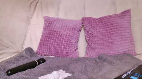 Media: A video of a beige couch with two purple knitted pillows and a gray blanket, featuring a black vibrator and a white tissue on the lower left corner.
