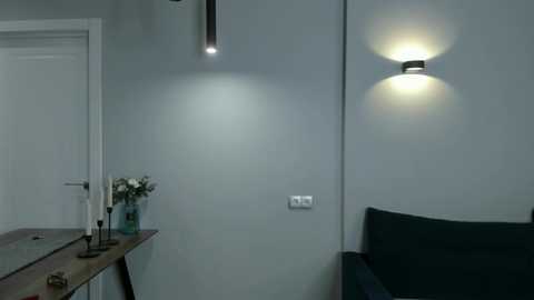 Media: A minimalist, modern bathroom with soft lighting. Grey walls, a dark green sofa, a wooden table with a vase, and a white door in the background.