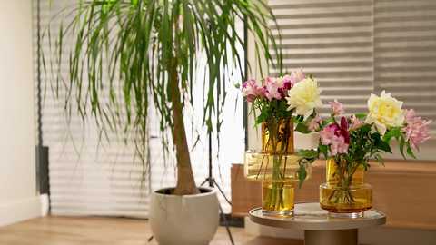 Media: Video of a modern, minimalist living room featuring a tall, slender, green plant in a white pot, two gold vases with pink and yellow flowers, and a beige sofa with horizontal blinds in the background.