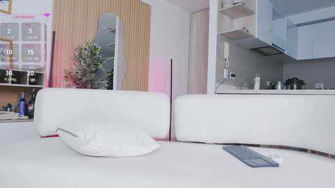 nemisha free recording from 2025-06-26 16:59:00