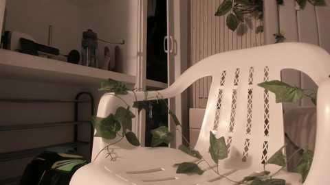 _dakota_a free recording from 2025-10-01 23:03:00