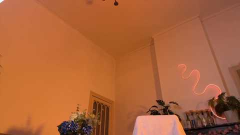 deniseone free recording from 2025-10-11 21:42:00