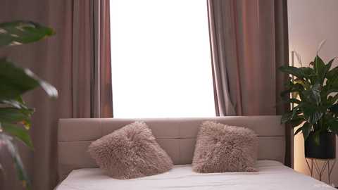Video of a minimalist bedroom with beige headboard, two fluffy pillows, and a potted plant on the right. A large window with soft pink curtains fills the background.