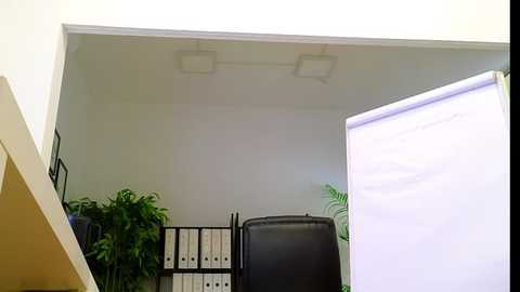 Video of a minimalist office with white walls, a projector screen, and a black leather office chair, featuring a potted plant and bookshelves in the background.