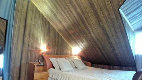 Media: A video of a cozy attic bedroom with a sloped wooden ceiling, two twin beds, white linens, and bedside tables with lamps. The walls and ceiling are wooden, creating a rustic ambiance.
