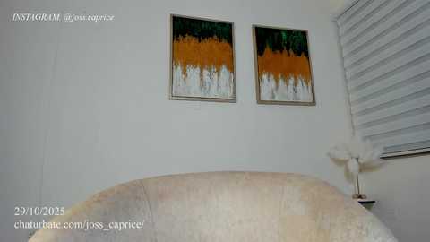 Video of a minimalist room with a beige armchair, two abstract paintings with green and orange strokes, a white window blind, and a white lamp on a side table.