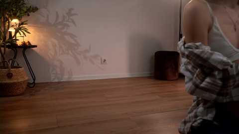 Video of a dimly lit room with wooden floors, a small potted plant, and a person in a white tank top, partially dressed in a plaid shirt, casting a shadow on the wall.