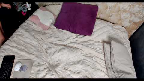 Video of a beige quilted bedspread with a purple pillow, a white pillow, a beige pillow, and a laptop on a dark bed, with a person in black clothes partially visible.