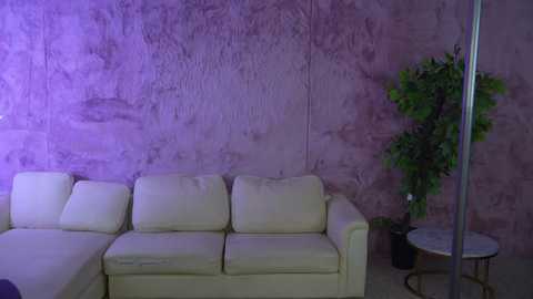 Video of a modern living room with a beige sectional sofa against a textured, purple-toned wall. A potted plant and a round, metallic side table with a glass top are placed to the right.