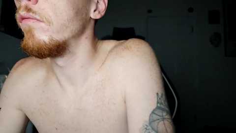 Video of a shirtless man with fair skin and a full red beard, featuring a tattoo on his upper arm. Background is dimly lit with indistinct objects.