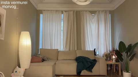 Media: Video of a cozy living room with beige sofa, white curtains, green plants, and a teal blanket, featuring a playful white cat.