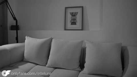 Black-and-white video of a minimalist living room featuring a white sofa with three large, soft pillows, a framed modern art print, and a floor lamp in the background.