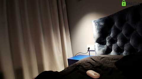 Media: A video of a dimly lit bedroom with a tufted, dark headboard, beige curtains, and a blue nightstand holding a white lamp and a smartphone.
