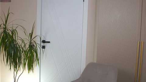 Media: A video of a minimalist room with a white door featuring horizontal lines, a black handle, and a green potted plant next to it. The background has vertical blinds and a beige carpet.