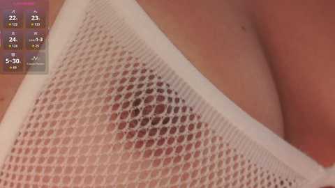 A close-up video of a woman's chest in a sheer white mesh top, revealing her medium-sized breasts and nipple area. The background is blurred, focusing attention on the garment's texture and her skin tone.