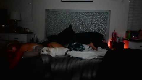 Video of a dimly-lit bedroom with a person lying on a bed with a grey blanket, head on a pillow, and a white towel nearby.