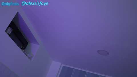 Media: A video of a modern, dimly lit room featuring a recessed shelf with a small plant and a white ceiling with a circular light fixture. The color palette is dominated by purples and whites.