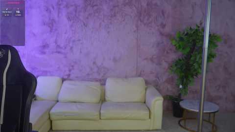 Video of a modern, minimalist living room with a cream sofa against a textured, purple-painted wall. A green potted plant stands on a round wooden table to the right.