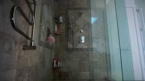 Media: A video of a modern, glass-walled shower with beige stone tiles, a handheld showerhead, two shelves holding toiletries, a pink pouf, and a stainless steel towel rack on the left wall.
