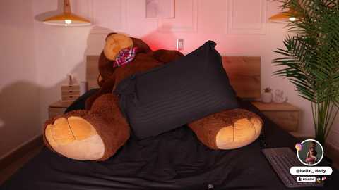 A video of a teddy bear wearing a red plaid scarf, lying on a black bedspread, surrounded by potted plants and wooden nightstands.